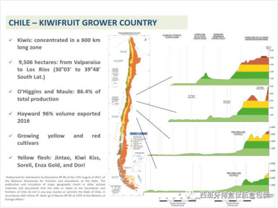 與本真同行，探尋智利獼猴桃產業(yè)發(fā)展現(xiàn)狀632.png