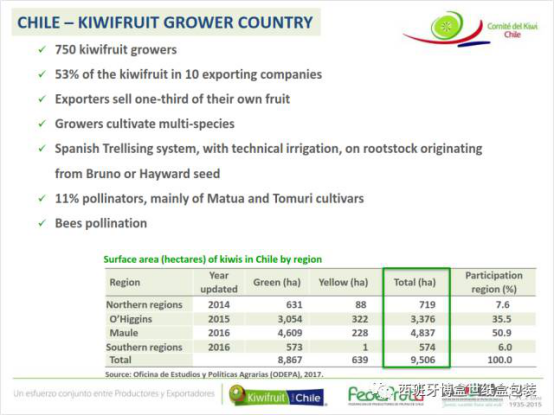 與本真同行，探尋智利獼猴桃產業(yè)發(fā)展現(xiàn)狀634.png