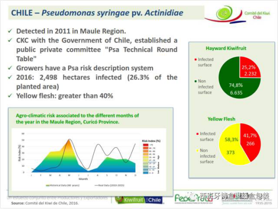 與本真同行，探尋智利獼猴桃產業(yè)發(fā)展現(xiàn)狀1694.png